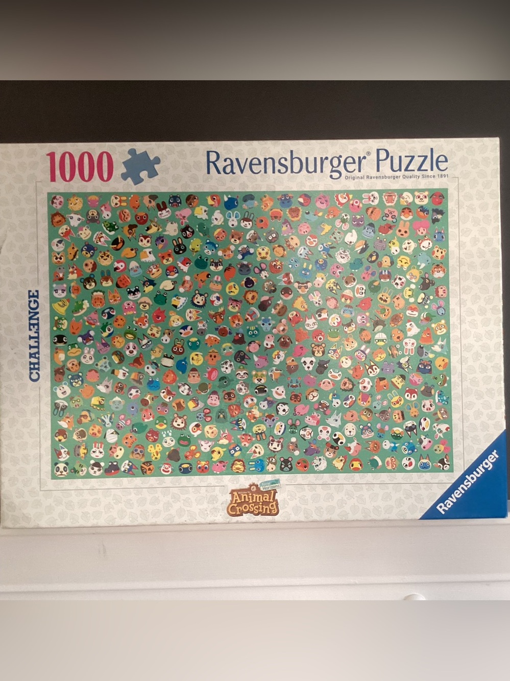 1000pc Puzzle